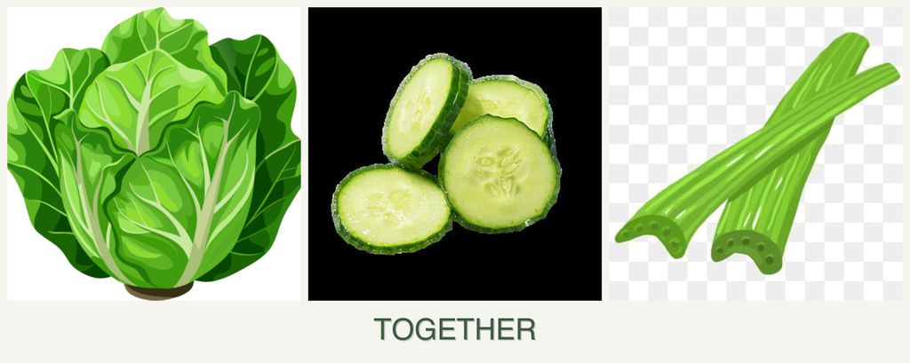 Can you plant lettuce, cucumbers and celery together?
