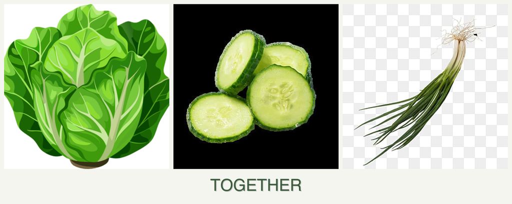 Can you plant lettuce, cucumbers and chives together?