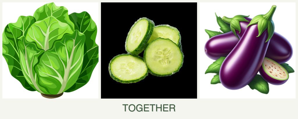 Can you plant lettuce, cucumbers and eggplant together?