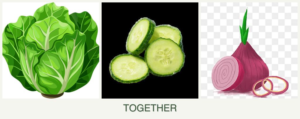 Can you plant lettuce, cucumbers and onions together?