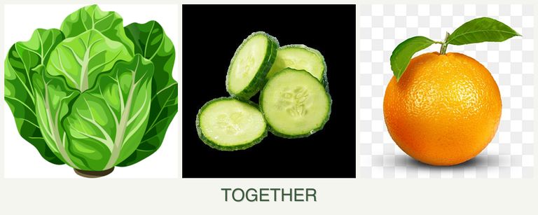 Can you plant lettuce, cucumbers and oranges together?