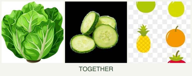Can you plant lettuce, cucumbers and pears together?