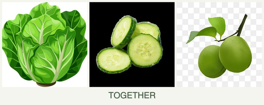 Can you plant lettuce, cucumbers and plums together?