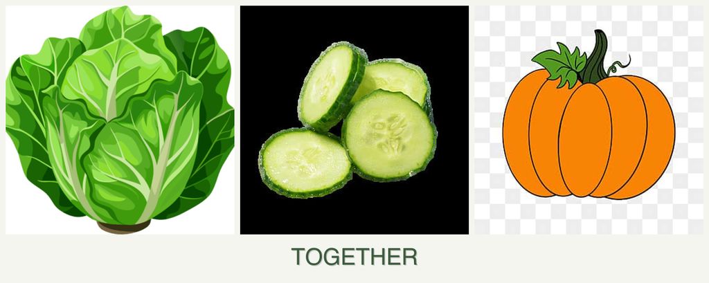 Can you plant lettuce, cucumbers and pumpkin together?