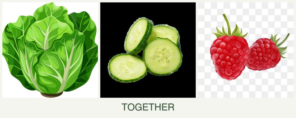 Can you plant lettuce, cucumbers and raspberries together?