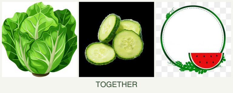 Can you plant lettuce, cucumbers and watermelons together?