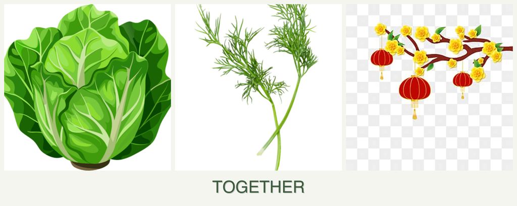 Can you plant lettuce, dill and apricots together?