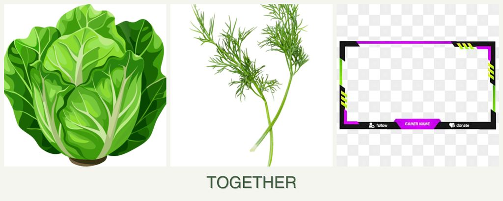 Can you plant lettuce, dill and limes together?