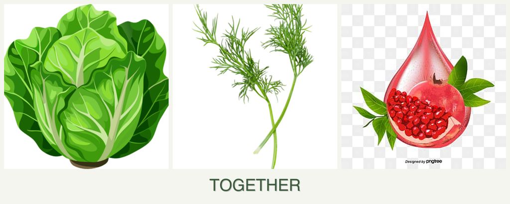 Can you plant lettuce, dill and pomegranates together?