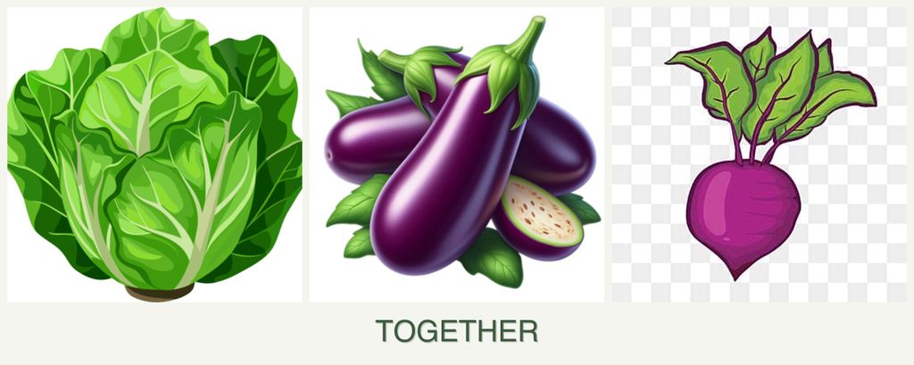 Can you plant lettuce, eggplant and beets together?