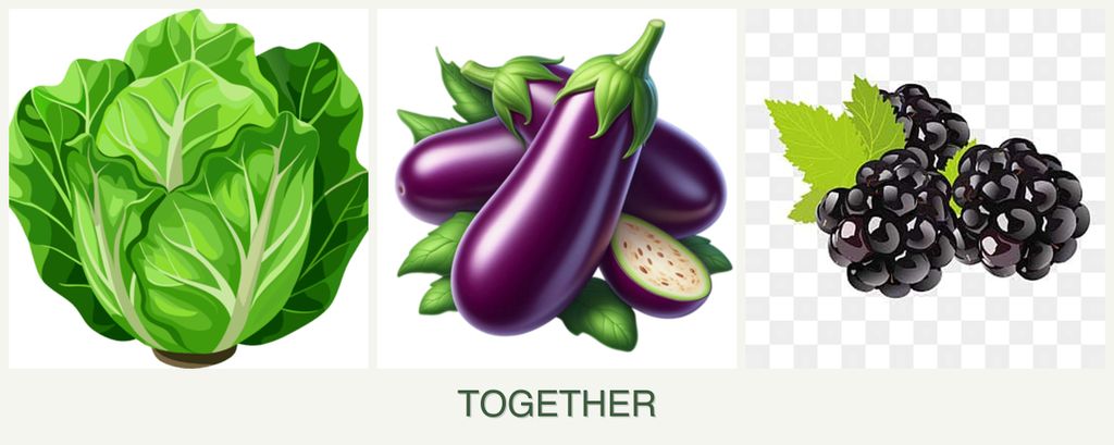 Can you plant lettuce, eggplant and blackberries together?