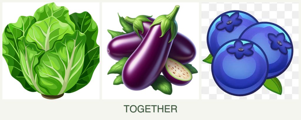 Can you plant lettuce, eggplant and blueberries together?