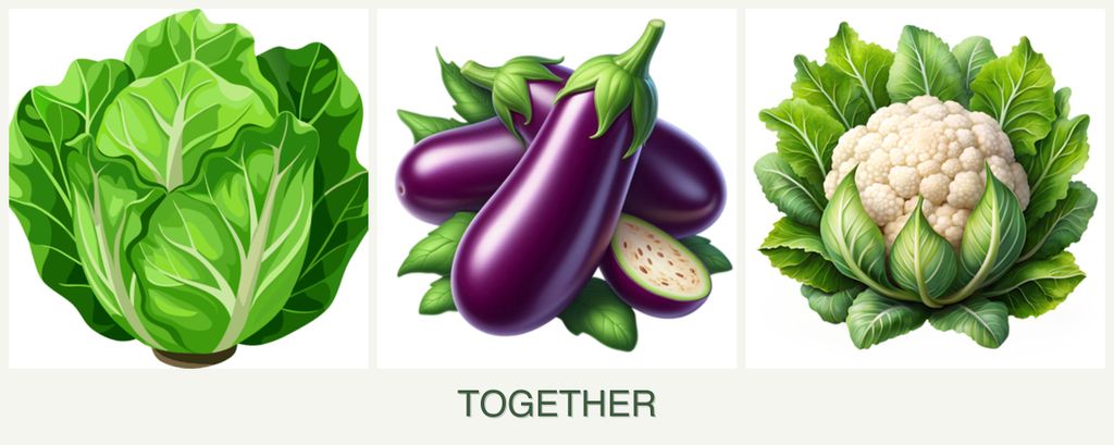 Can you plant lettuce, eggplant and cauliflower together?