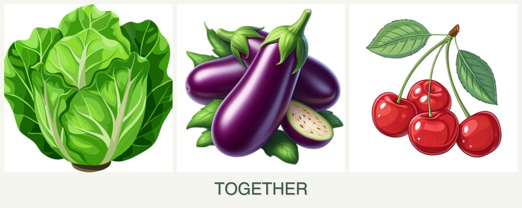 Can you plant lettuce, eggplant and cherries together?