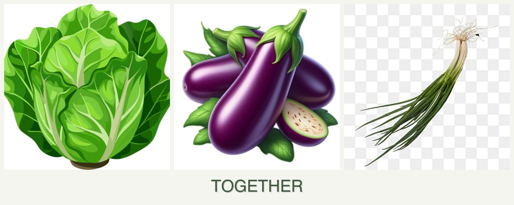 Can you plant lettuce, eggplant and chives together?