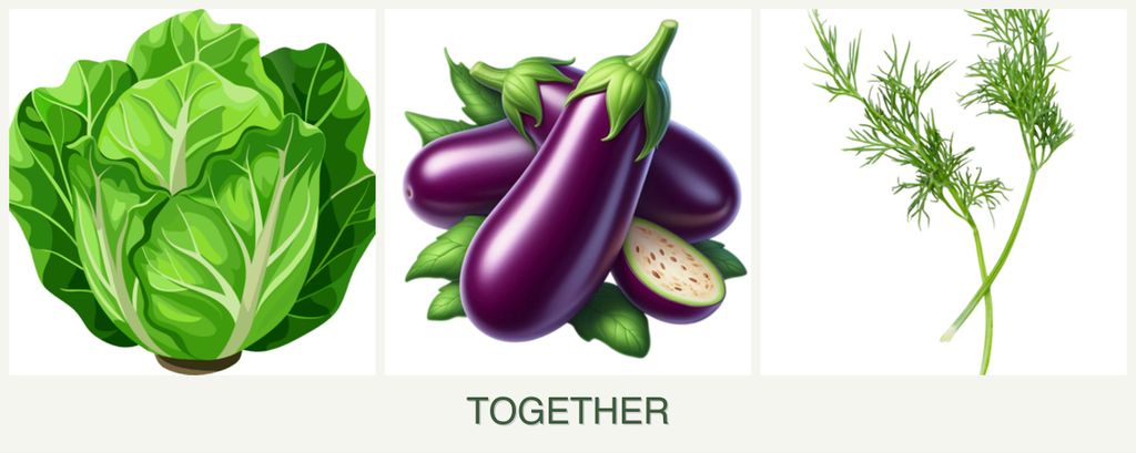Can you plant lettuce, eggplant and dill together?