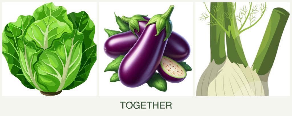 Can you plant lettuce, eggplant and fennel together?