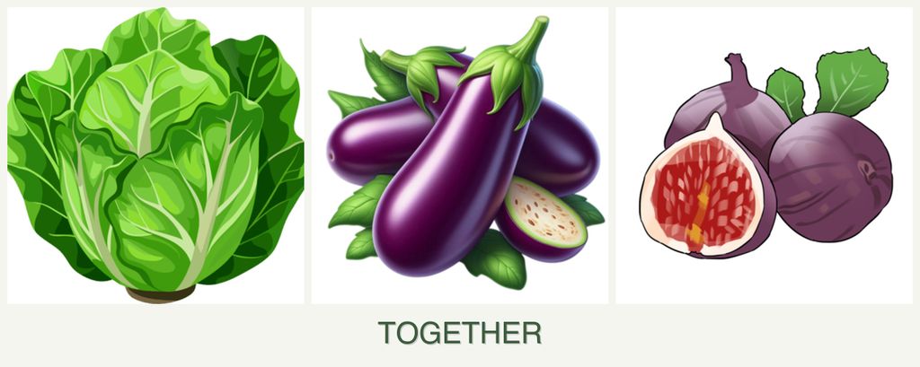 Can you plant lettuce, eggplant and figs together?