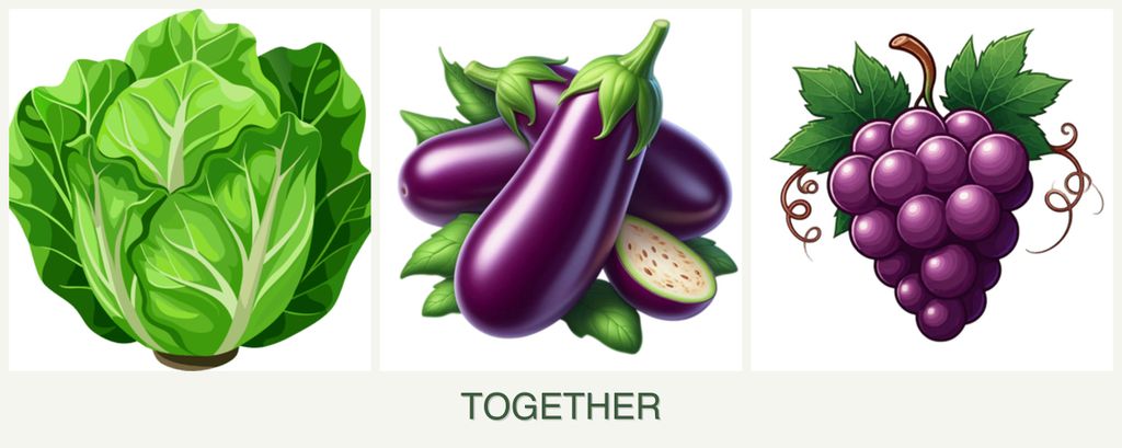 Can you plant lettuce, eggplant and grapes together?