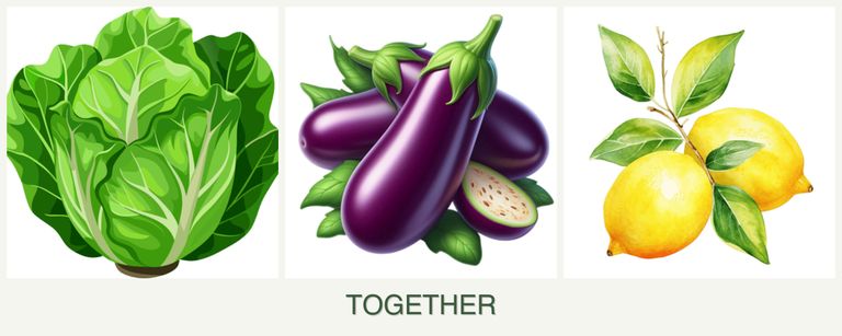 Can you plant lettuce, eggplant and lemons together?