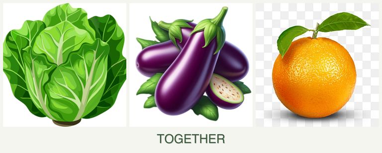 Can you plant lettuce, eggplant and oranges together?
