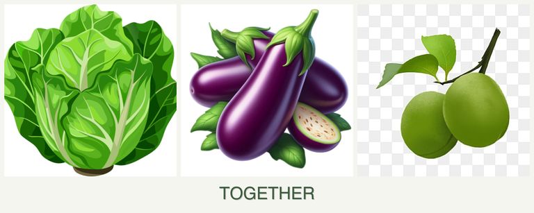 Can you plant lettuce, eggplant and plums together?