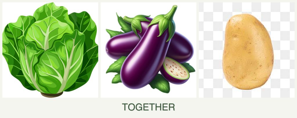 Can you plant lettuce, eggplant and potatoes together?