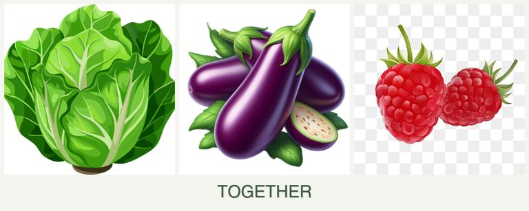 Can you plant lettuce, eggplant and raspberries together?