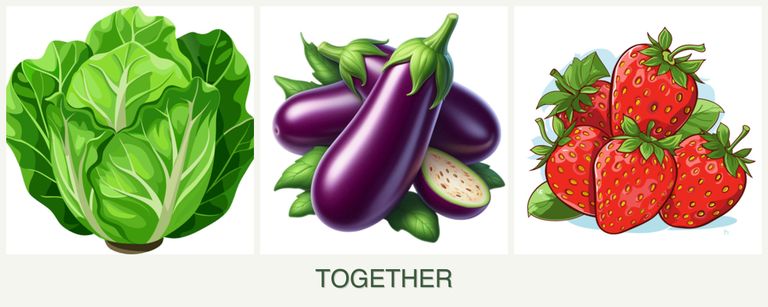 Can you plant lettuce, eggplant and strawberries together?