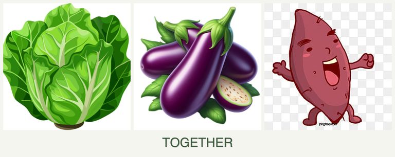 Can you plant lettuce, eggplant and sweet potatoes together?