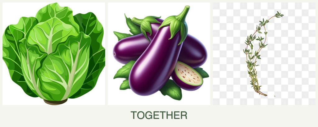 Can you plant lettuce, eggplant and thyme together?