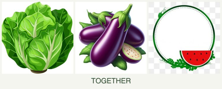 Can you plant lettuce, eggplant and watermelons together?