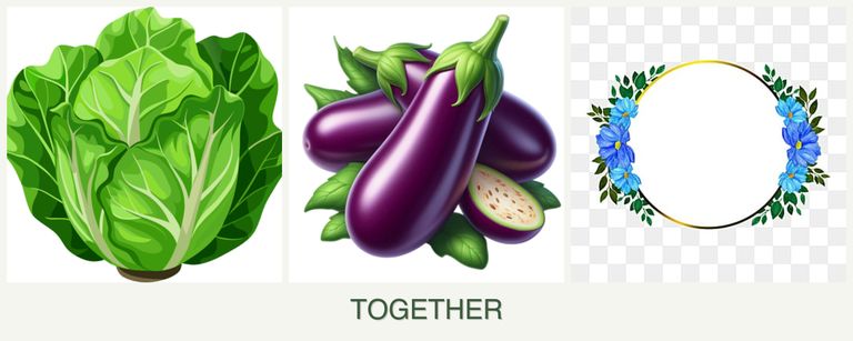 Can you plant lettuce, eggplant and zinnias together?