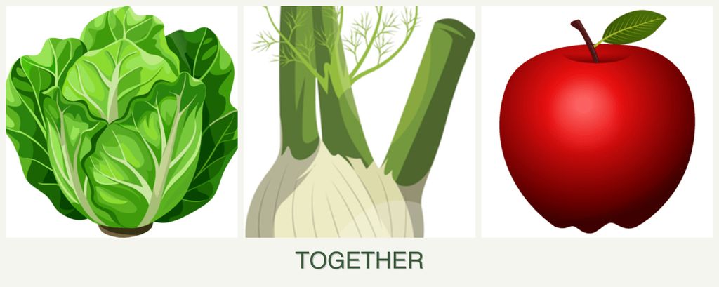 Can you plant lettuce, fennel and apples together?