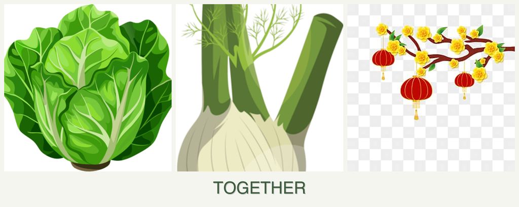 Can you plant lettuce, fennel and apricots together?