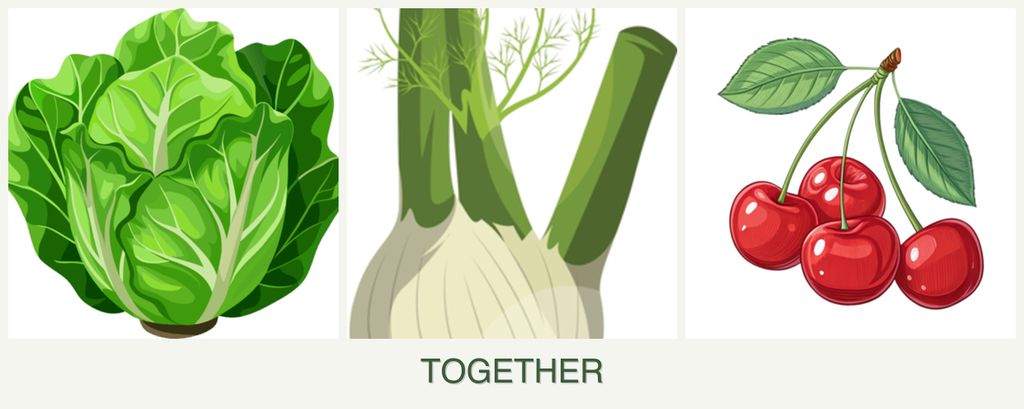Can you plant lettuce, fennel and cherries together?