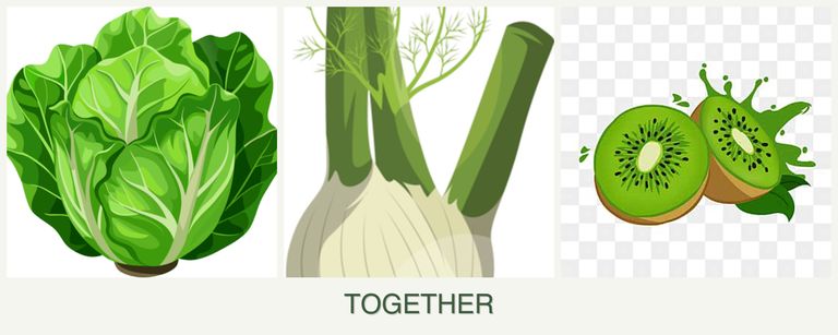 Can you plant lettuce, fennel and kiwi together?