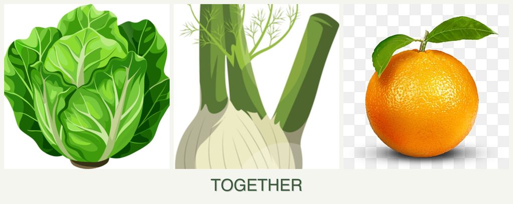 Can you plant lettuce, fennel and oranges together?