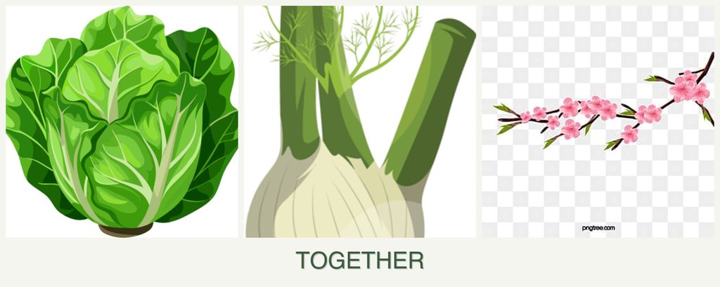 Can you plant lettuce, fennel and peaches together?