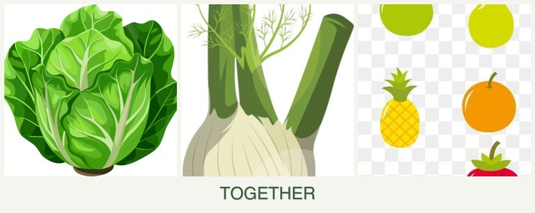 Can you plant lettuce, fennel and pears together?