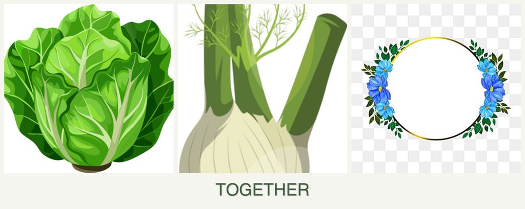 Can you plant lettuce, fennel and zinnias together?