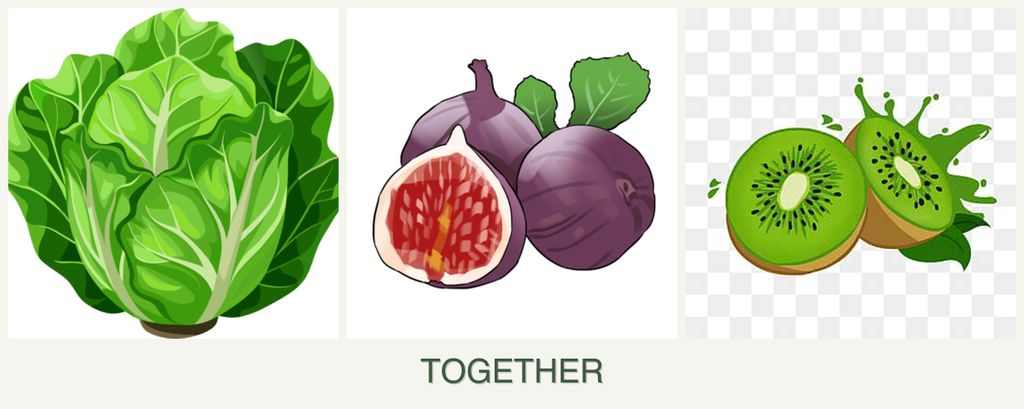 Can you plant lettuce, figs and kiwi together?
