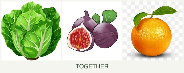 Can you plant lettuce, figs and oranges together?