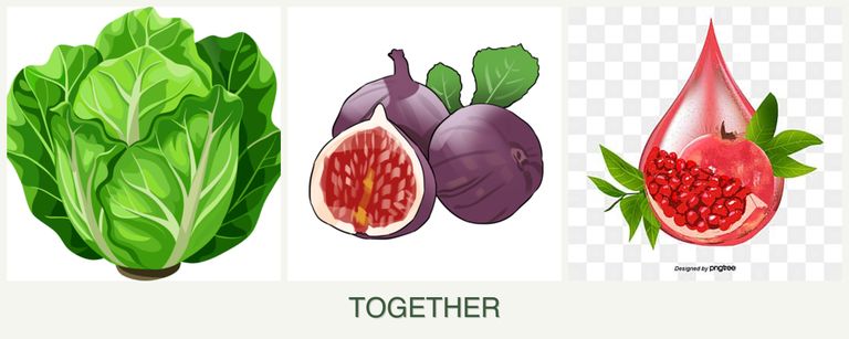 Can you plant lettuce, figs and pomegranates together?