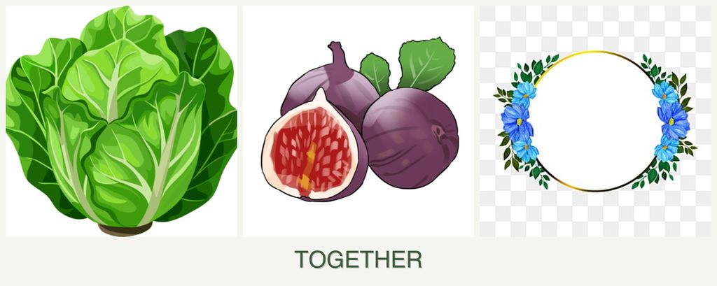 Can you plant lettuce, figs and zinnias together?