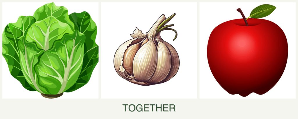Can you plant lettuce, garlic and apples together?