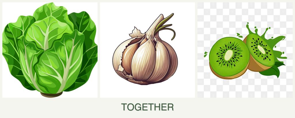 Can you plant lettuce, garlic and kiwi together?