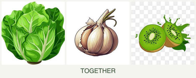 Can you plant lettuce, garlic and kiwi together?
