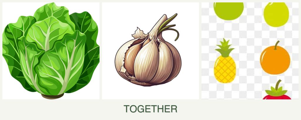Can you plant lettuce, garlic and pears together?