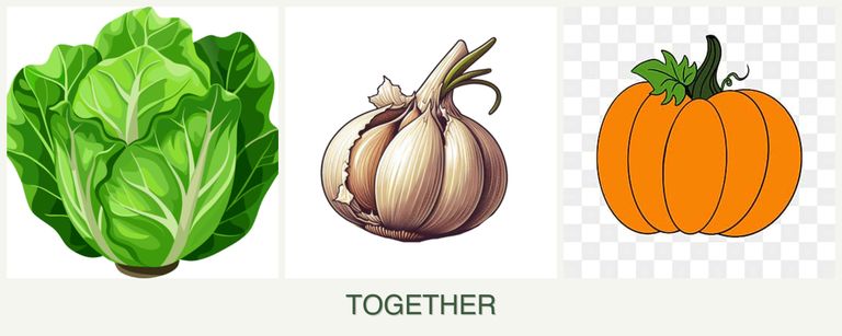 Can you plant lettuce, garlic and pumpkin together?